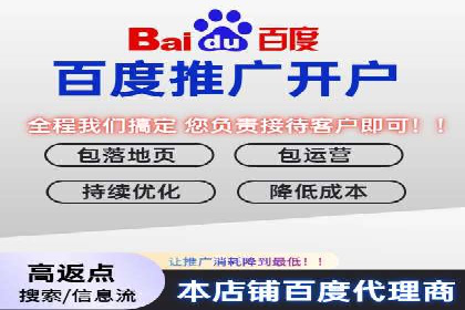 百度竞价广告创意设计：成功案例解析及启示